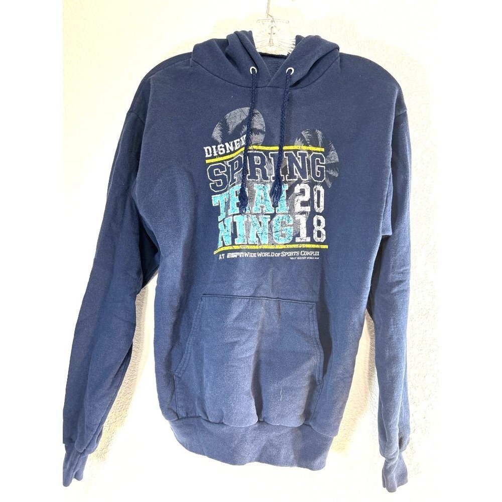 Hanes Womens Graphic Hoodie Disney Spring Taining Blue Size M/M/M